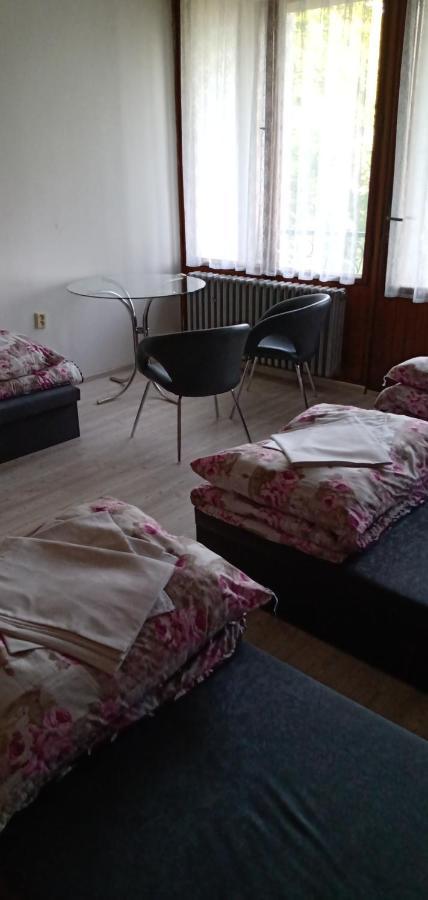 Druzstevni Dum Choustnik Hotel Buitenkant foto