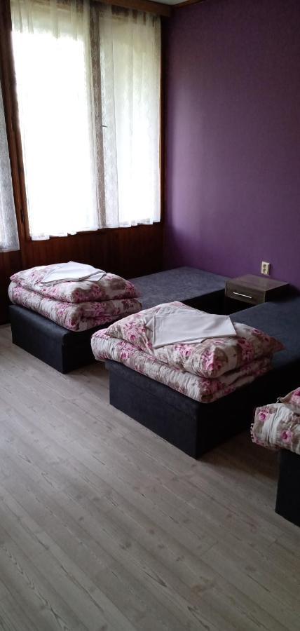 Druzstevni Dum Choustnik Hotel Buitenkant foto